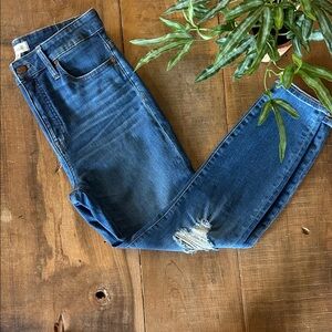 Madewell Women's Skinny Jeans in Blue